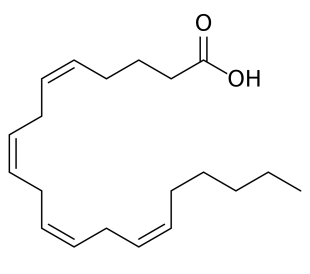 arachidonic acid